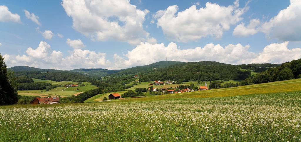 Landgut Stetter Hotell Schöllnach Exteriör bild