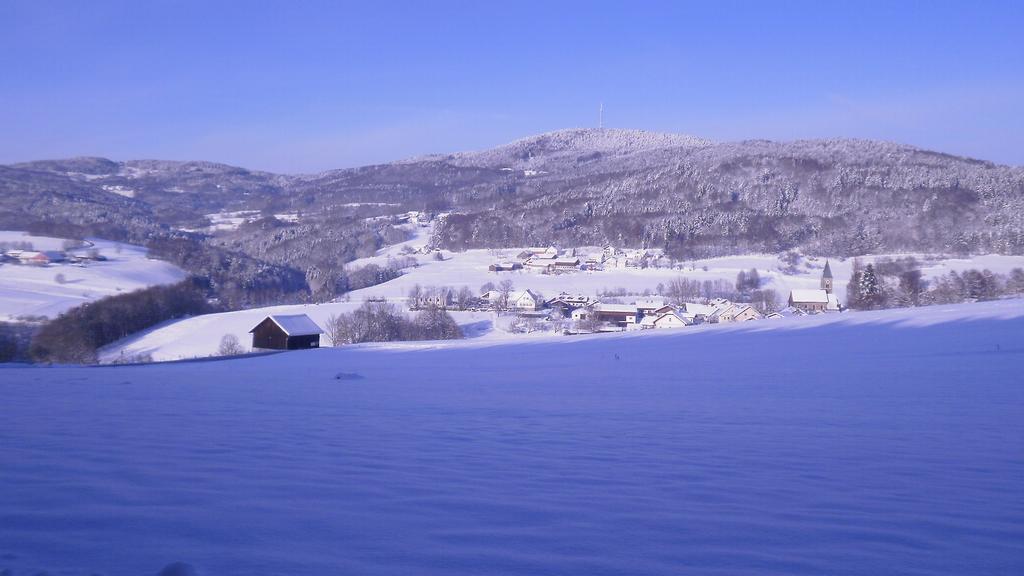 Landgut Stetter Hotell Schöllnach Exteriör bild