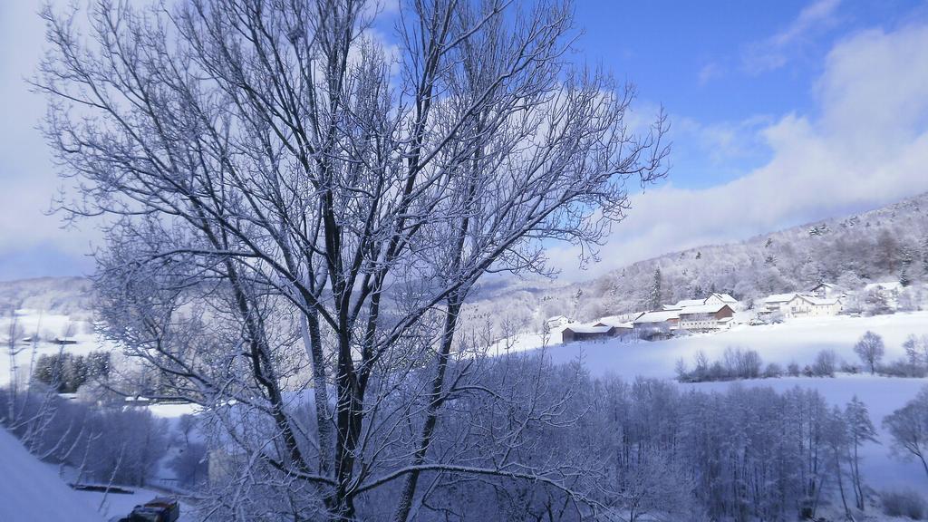 Landgut Stetter Hotell Schöllnach Exteriör bild